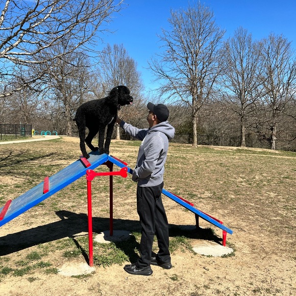 Meet your Posher, Monica - Picture 6 of 7